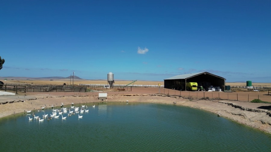 5 Bedroom Property for Sale in Darling Western Cape